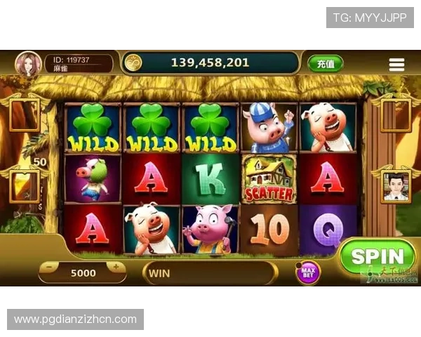 全面的老虎机购买平台，涵盖各种款式与品牌满足不同客户需求