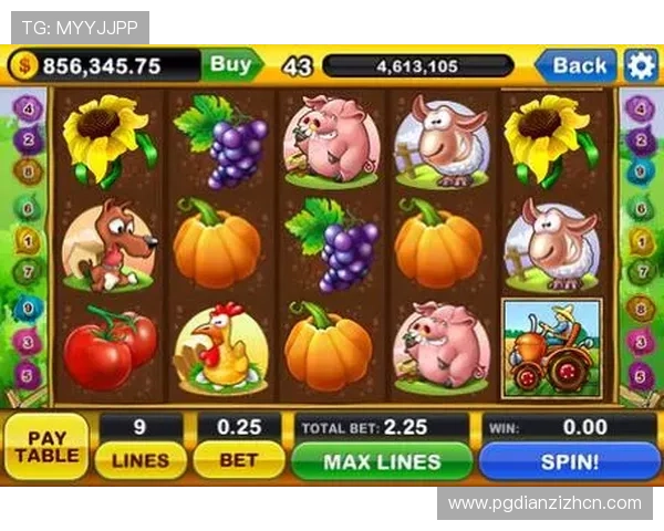 老虎机网址注册送彩金优惠多多新手玩家也能轻松上手体验刺激