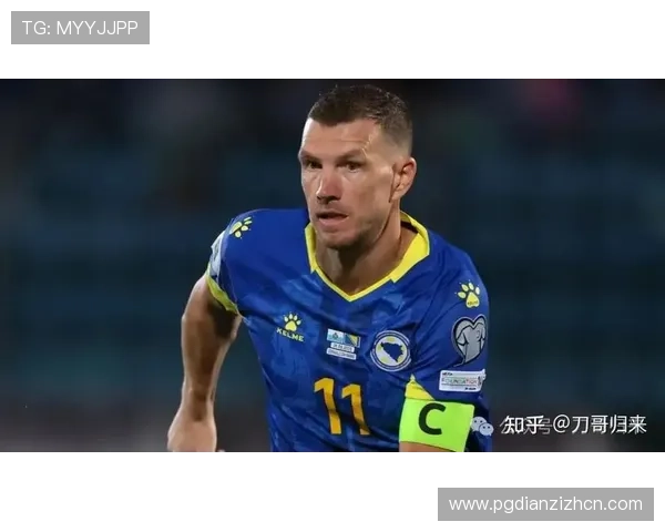加拿大与波黑比赛技战术亮点与潜在战术调整建议深度解读 加拿大与波黑比赛技战术亮点与潜在战术调整建议深度解读